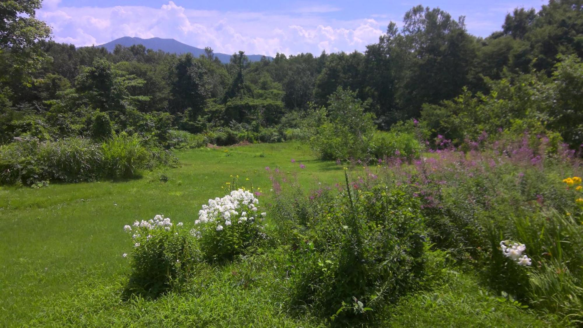 Lodge Amenouo Myoko Bagian luar foto